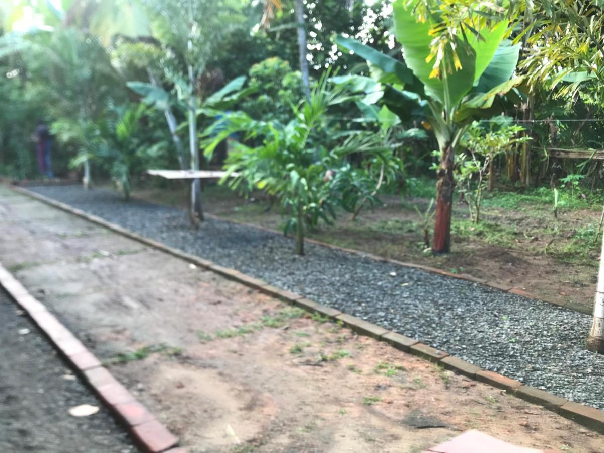 Secret House Homestay *