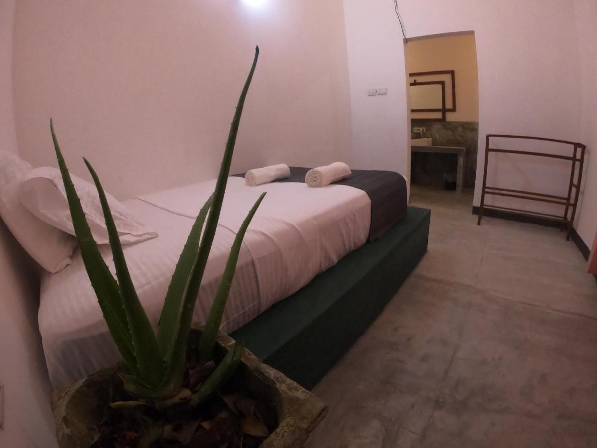 Secret House Homestay *